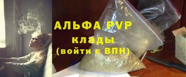 гашик Арсеньев
