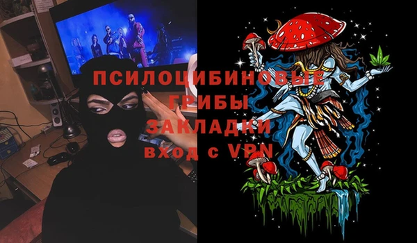 гашик Арсеньев