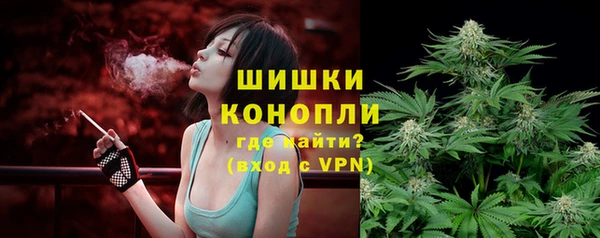 гашик Арсеньев