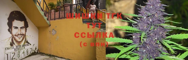 гашик Арсеньев