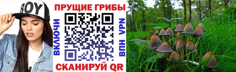 Галлюциногенные грибы Magic Shrooms  закладки  ОМГ ОМГ зеркало  Родники 