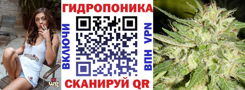 дарнет шоп  Родники  МАРИХУАНА планчик 